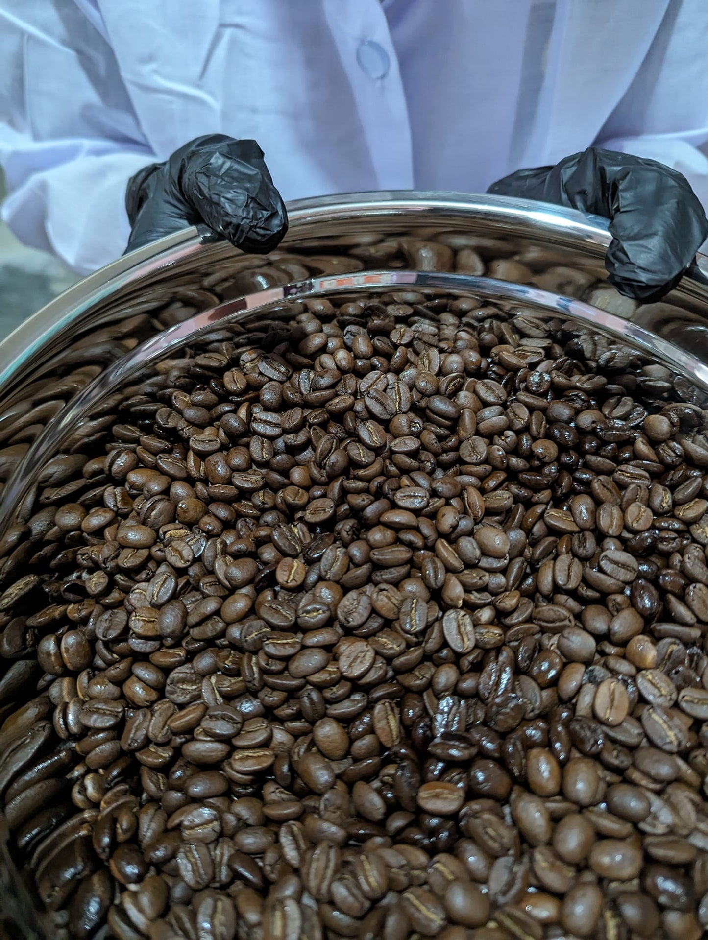 Single Origins - Atok Arabica Coffee Beans, 250 grams